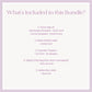List of items included in a design bundle with templates and packaging options on a light purple background.