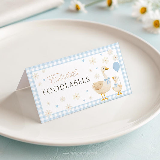 Blue gingham silly goose food card
