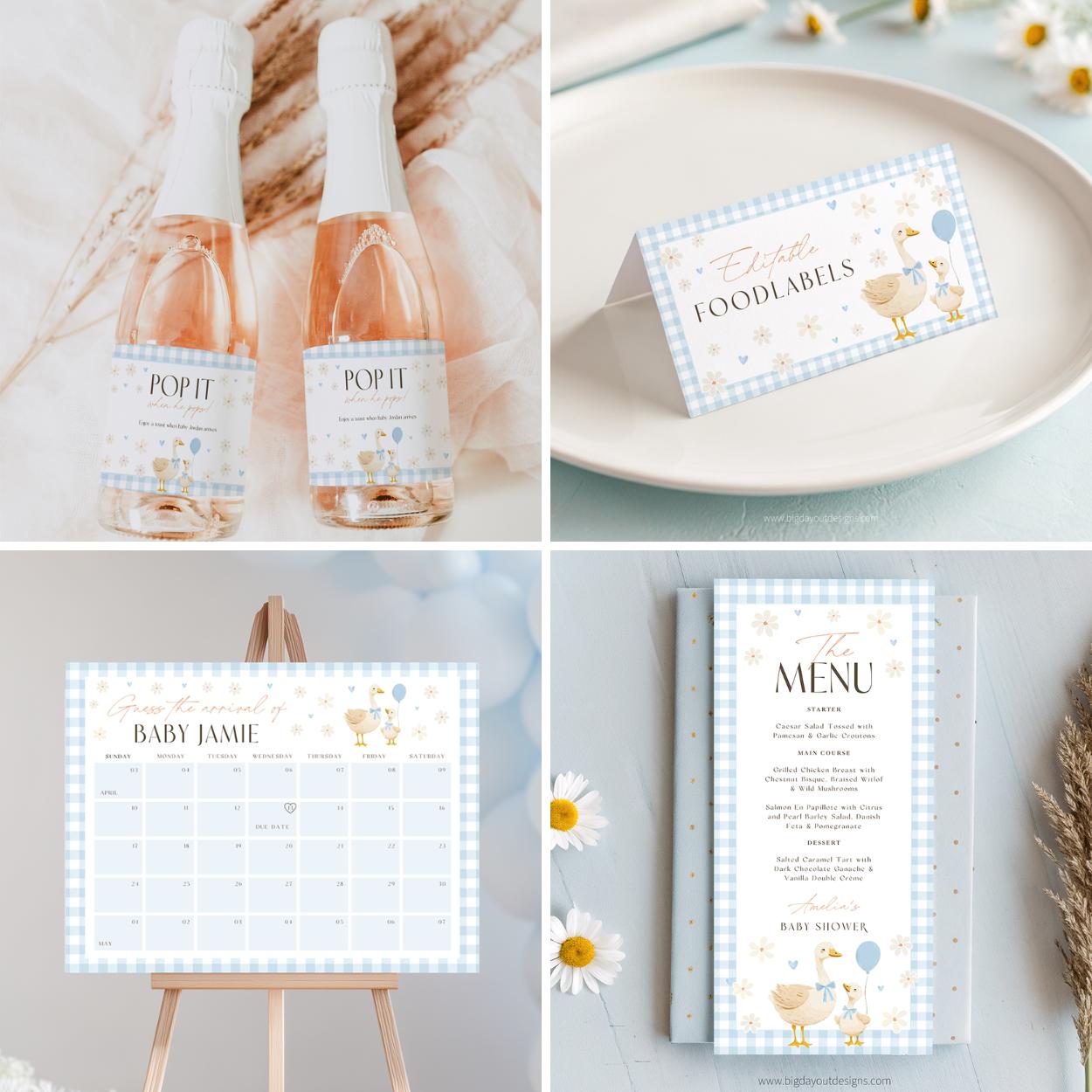 Silly Goose baby shower bundle