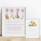 Winnie the Pooh Girl 1st Birthday Bundle - Big Day Out