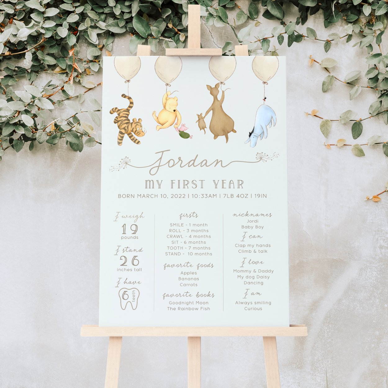 Winnie the Pooh Milestone Board - Big Day Out